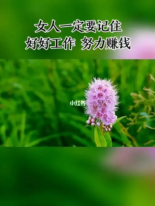 女人一定要记住好好工作努力赚钱只有自己才靠得住情感语录人生感悟
