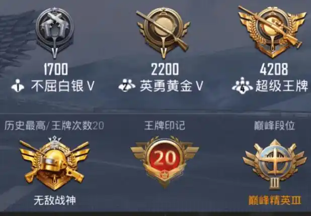 和平精英战神怎么上(新手须知和平精英怎么拥有20个王牌印记)-仪陇