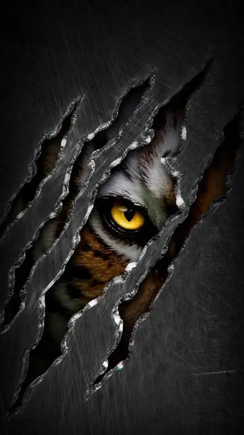 壁纸图片大全墙纸霸气,霸气壁纸(壁纸,画的老虎也可以很霸气)