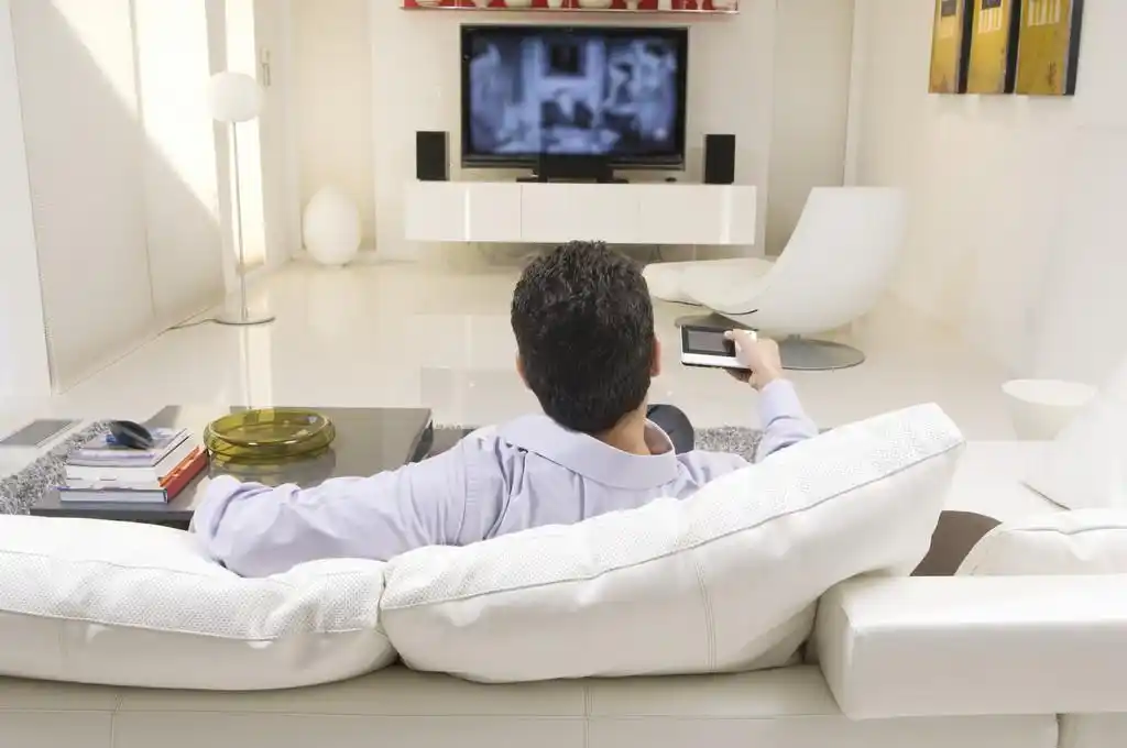 看电视的人,看电视在客厅里一个人的后视图