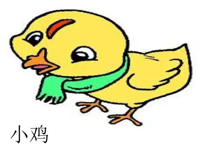 小鸡