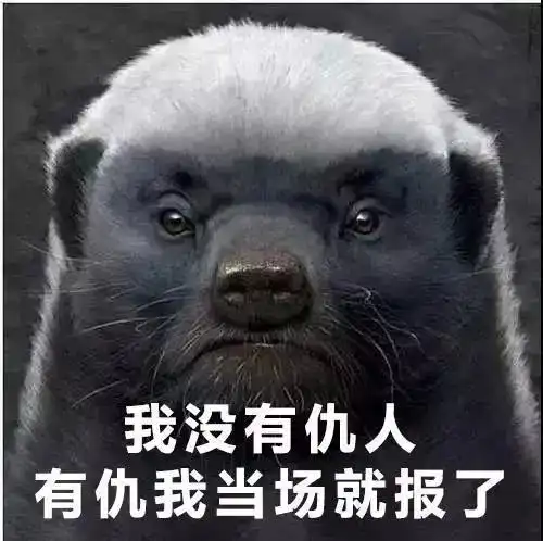 平头哥就炸了从动物的身上看出,我们人类缺失了一种精神,就