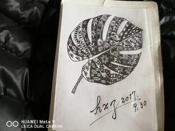 禅绕画之树叶系列