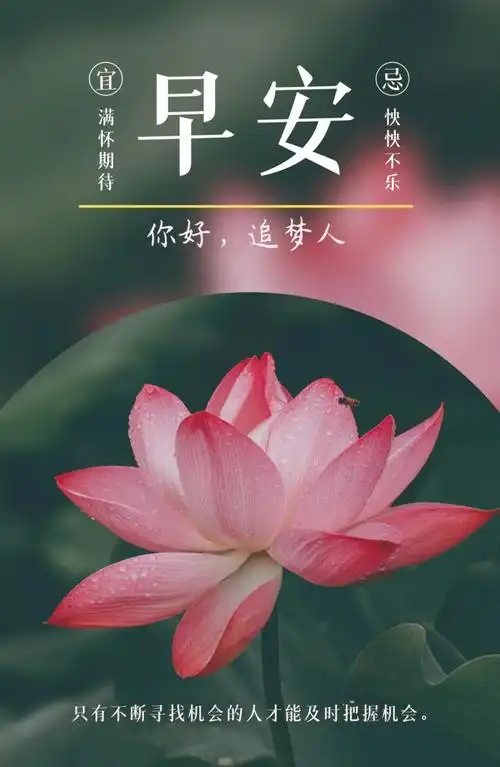 03.21」早安心语,最新正能量短句,阳春3月最美早安图片