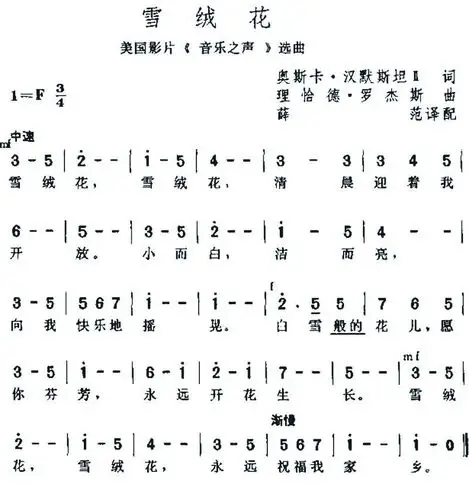 【锦华·综合实践】实践育人课 "疫"路伴成长