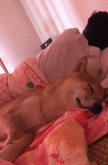 好开心五一小长假终于来了你准备怎么过