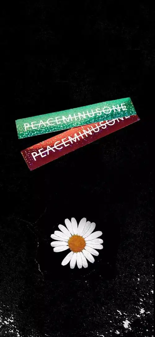 雏菊#权志龙#壁纸