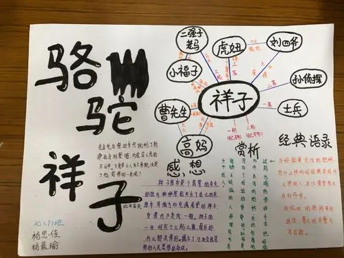 2018级703,707班《骆驼祥子》阅读小报展示