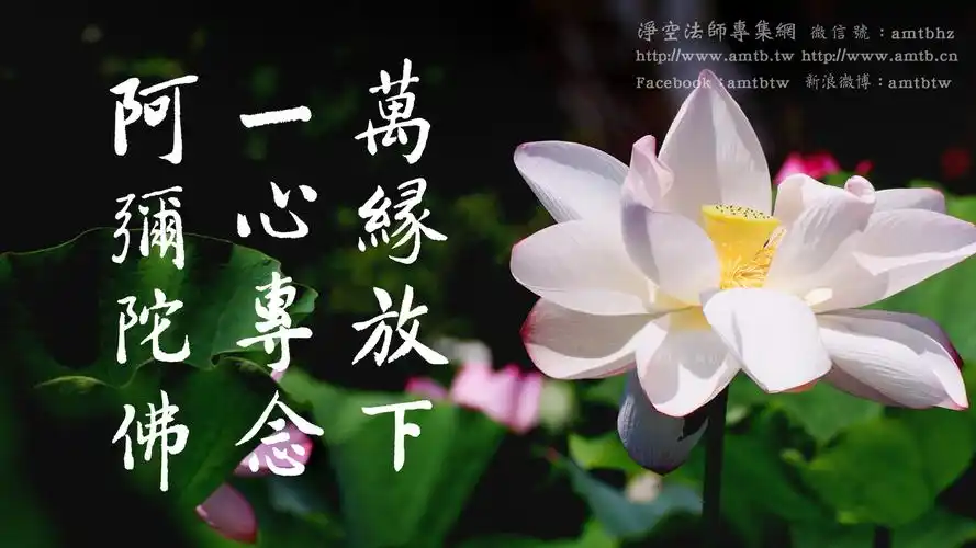 净宗能不能成就,关键在此地,你肯不肯万缘放下,一心专念阿弥陀佛,求生