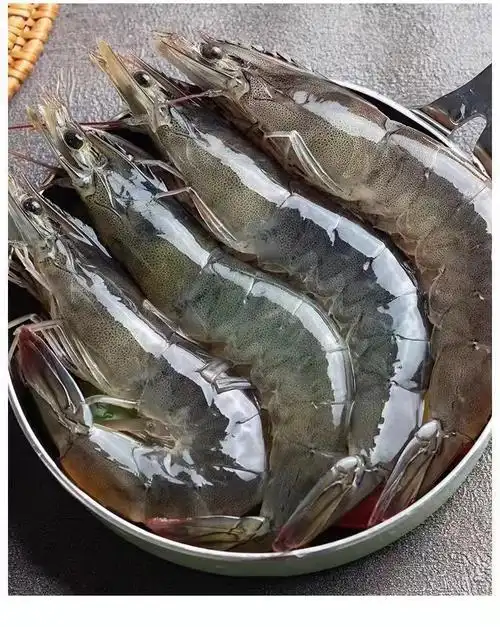 大虾超大海虾鲜活冷冻白虾对虾大虾新鲜海捕大虾海鲜非基围虾_对虾