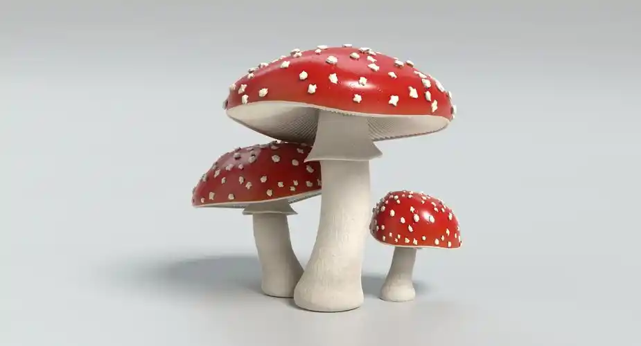 鹅膏菌蘑菇3d模型