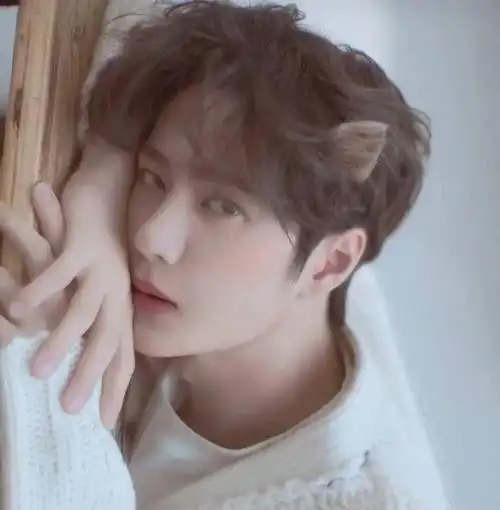 微信头像王一博