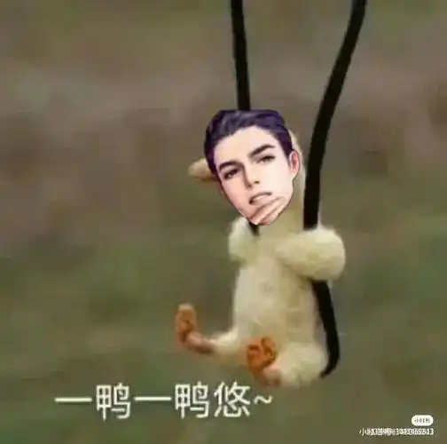 邵大鹅  #邵群生日  咳咳,邵大鹅生日快乐哈[doge]