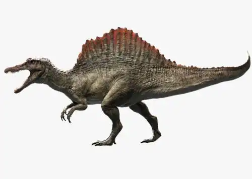 动物-翁广文的收藏夹