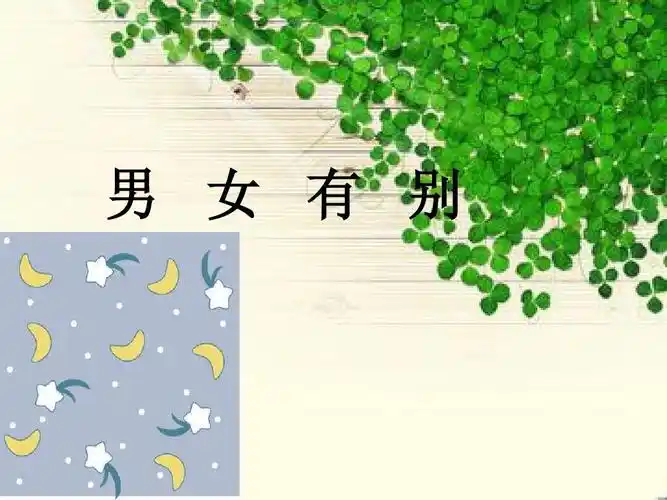 男女有别ppt