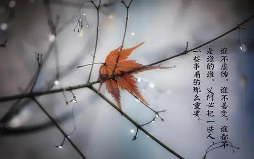 心痛心凉了的说说图片,高清壁纸图片,非主流-回车桌面