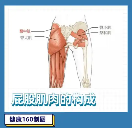 屁股越翘越性感,隐藏的危险,却没多少人知道……_苏神_臀部_女生