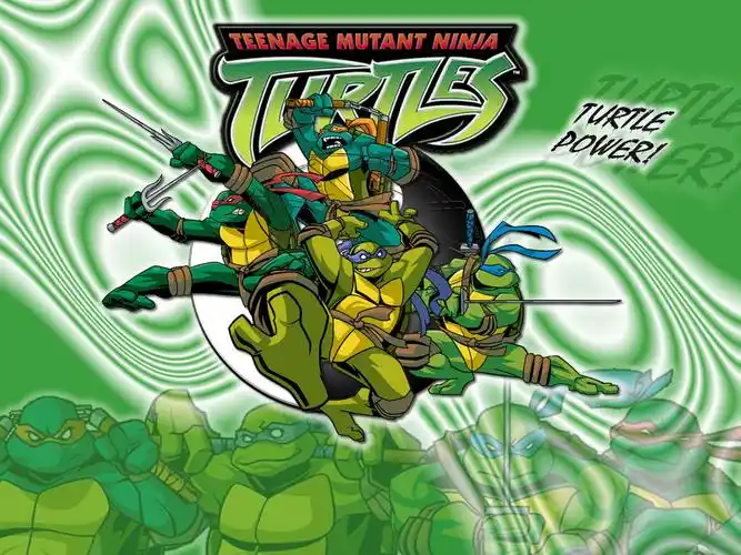 忍者龟[2003-2009年系列动画]