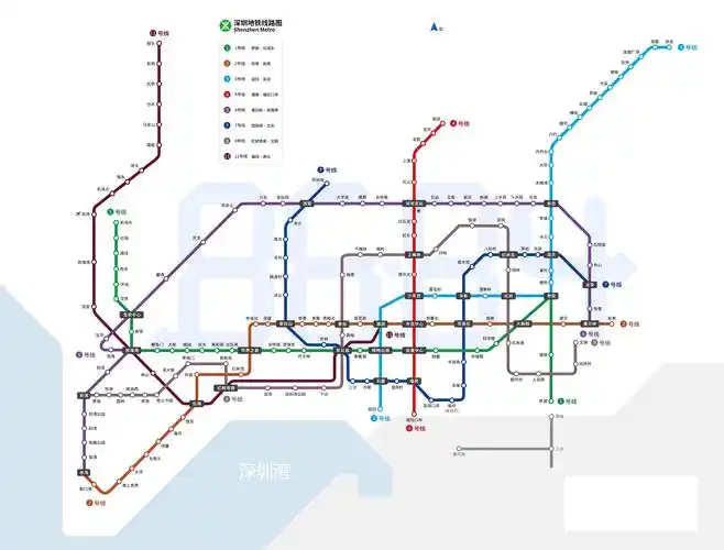 2020深圳地铁线路图