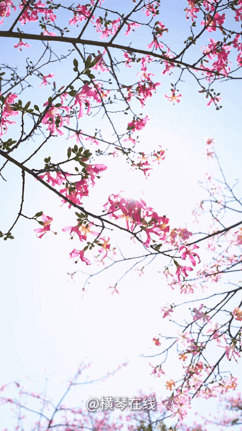 640_1138竖版 竖屏gif 动态图 动图