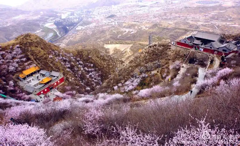 中国张家口鸡鸣山 第三节 醉美桃花节