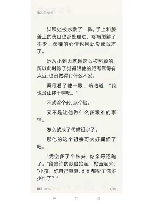 偷偷藏不住作者竹已