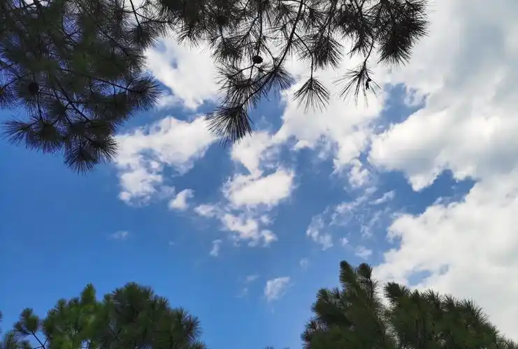 农村无污染的天空,纯净的蓝