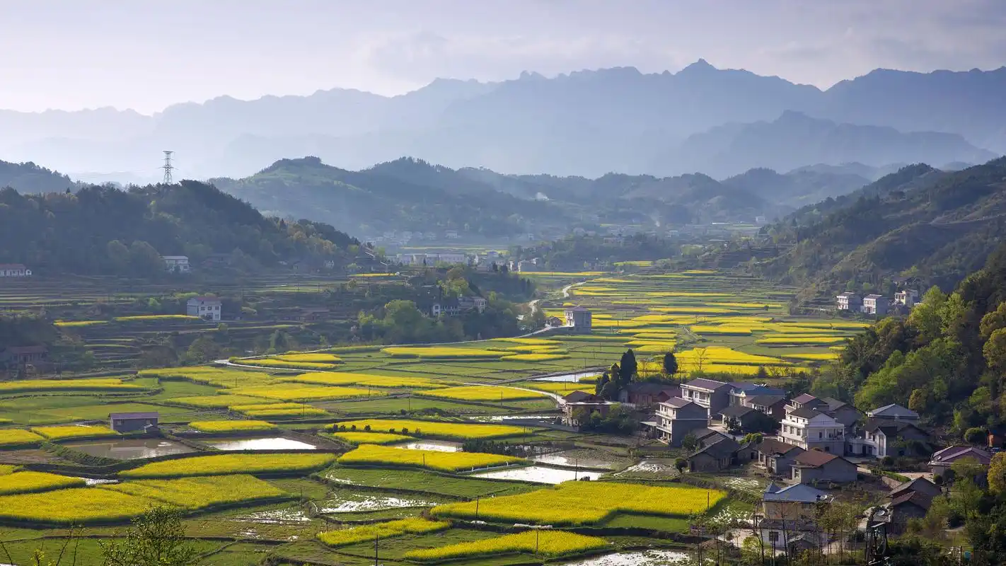 我从基层来 | 建设美丽乡村 培养基层医护人员