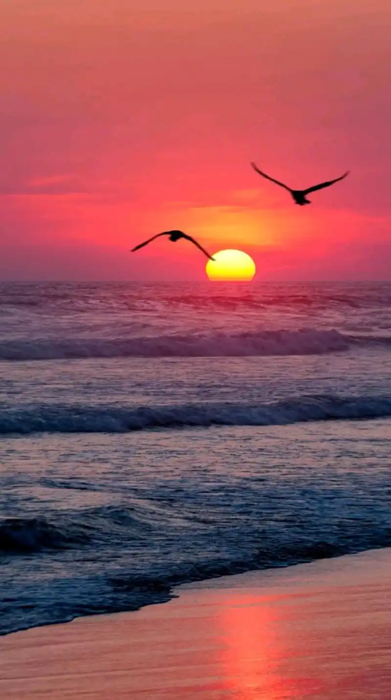 唯美意境超清壁纸