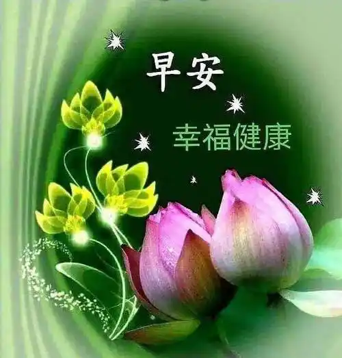 早上好问候美图早安问候语句