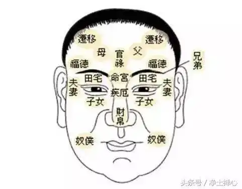 阴骘纹到底是什么你的善恶早已被记录一定要看