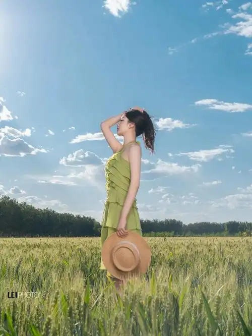 拍照打卡北京通州麦田治愈系风景有点热