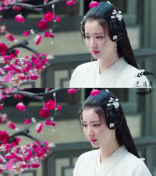 将军在上柳惜音王楚然