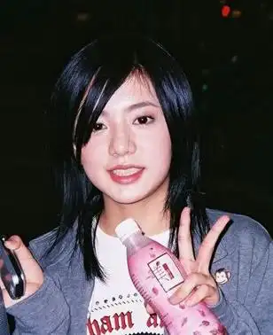 图片搜寻: 丁文琪