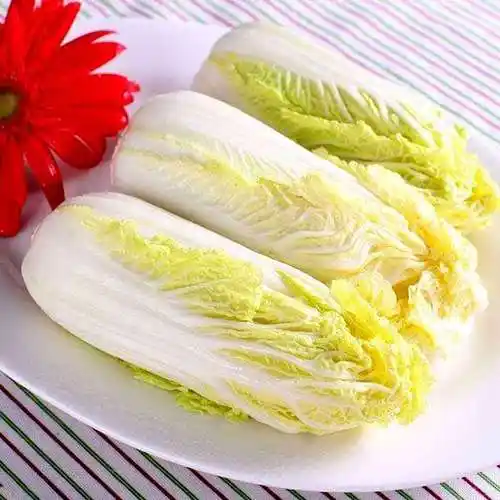 田七菜的功效与作用及食用方法_娃娃菜功效与作用_蓬子菜的功效与作用