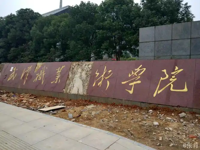 武汉职业技术职业学院