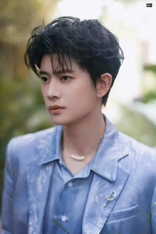 桃花姬食品品牌代言人任嘉伦