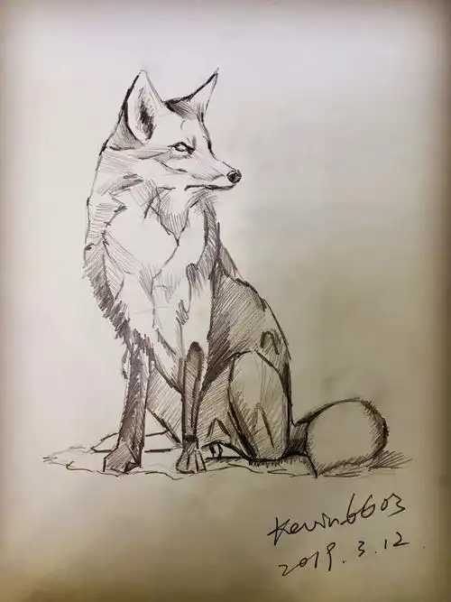 【绘画】20190312-速写狐狸
