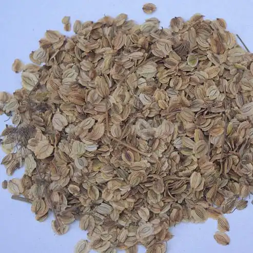 白芷种子统安徽亳州