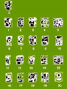 阿拉伯数字的故乡在印度