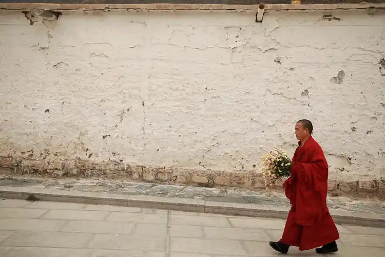 手持鲜花的红衣僧人拍摄于甘南的阿卜楞寺.