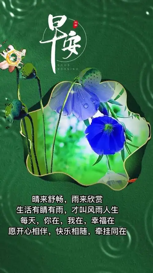 珍惜缘分的早安问候(相遇珍惜早安语)