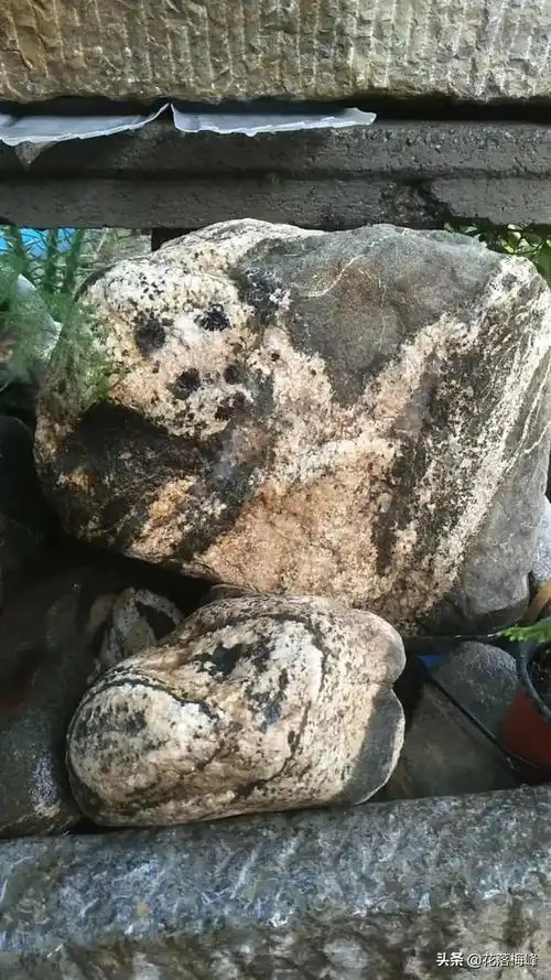 头条问答 - 精品泰山石,国宝熊猫值多少钱?(15个回答)