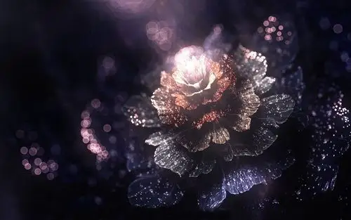 花朵,盛开,梦幻,闪耀,莲花,绽放,星光花朵壁纸图片