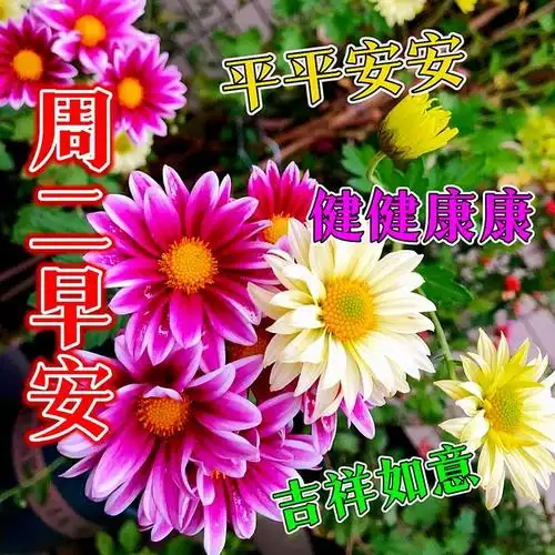 早上好早安暖心图片带字带问候祝福语新的一天事事顺心周二愉快