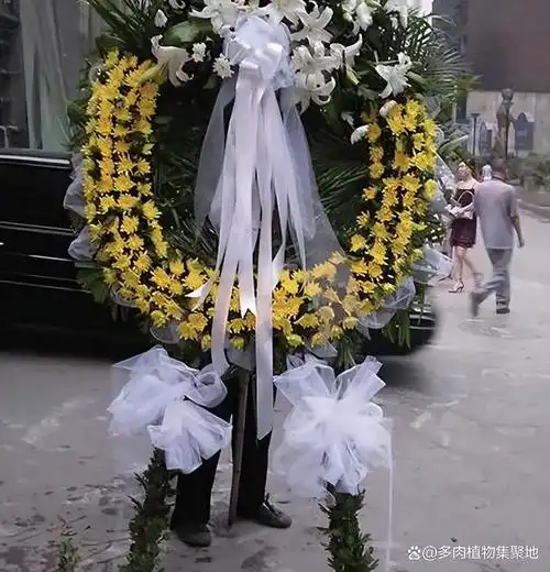 "亲人去世,清理4物",免得害了子孙,老祖宗的话,别不相信!