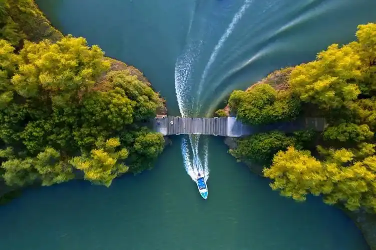 盐城大纵湖旅游度假区成功入选首批江苏省单项类文艺家采风创作基地凤