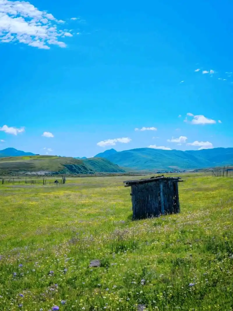 远离城市的繁华,来一场自然与人文的旅行,若尔盖大草原
