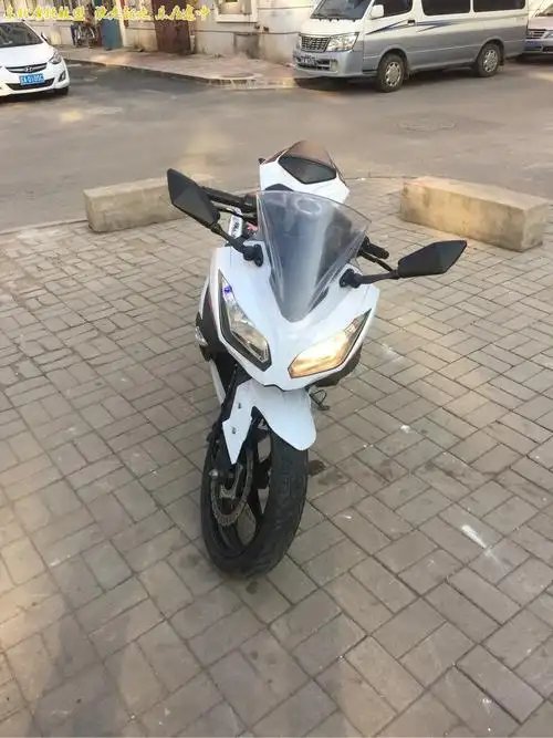 川崎小忍者.14年abs版