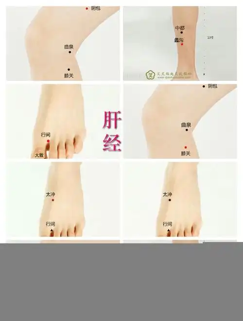 会会妈妈艾灸调理方案会会家